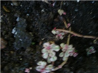 550b33c2-Picture 514.jpg